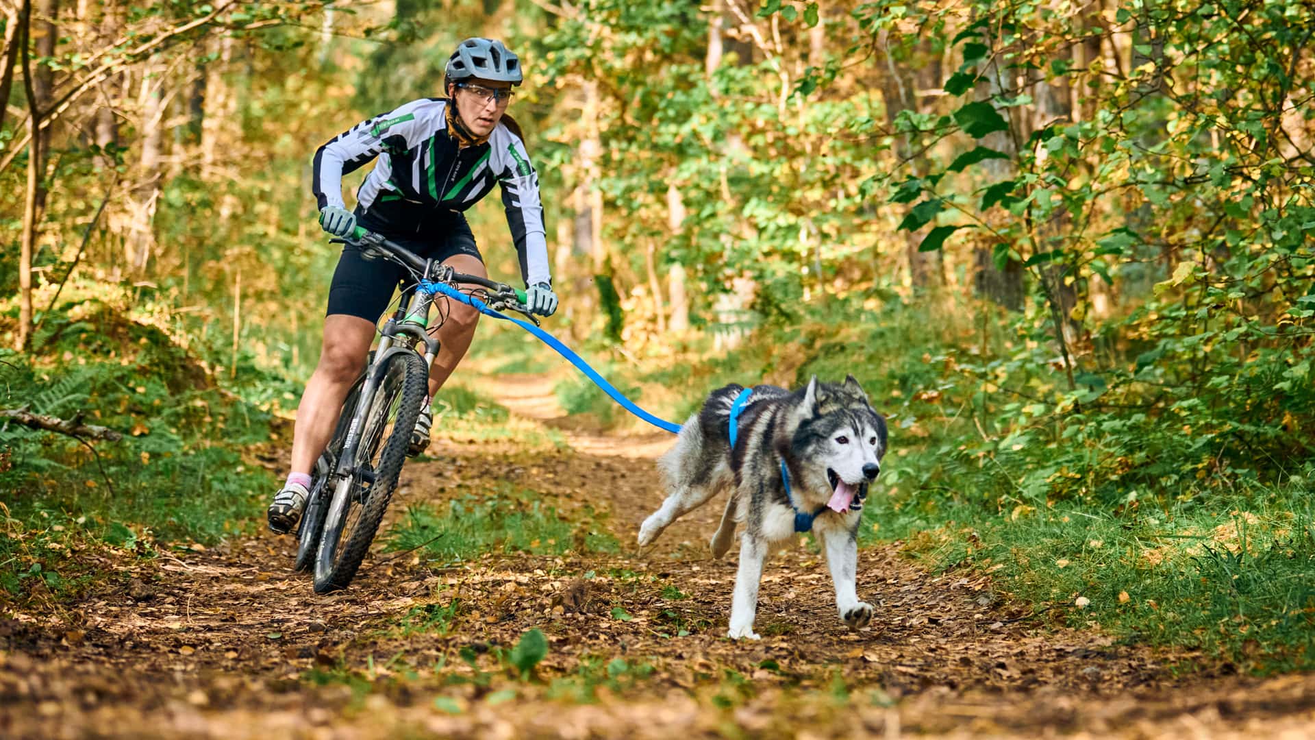 Kolesarjenje s psom: vse kar moraš vedeti