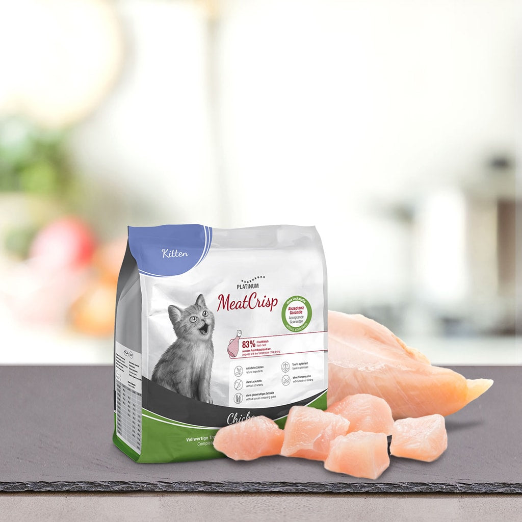 Vrečka PLATINUM MeatCrisp Kitten Chicken, Suha Hrana za Mačke leži na pultu s sivo mačko in kosi surovih piščančjih prsi na ozadju kuhinje, ki je mehko zamegljeno in poudarja postopek sušenja v sušilnici Freshmeatdryer.