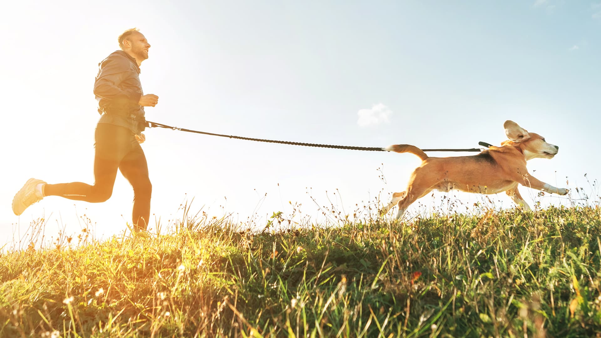 Tek s psom: vse kar moraš vedeti