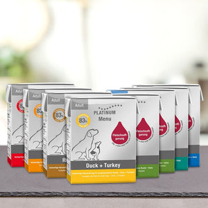 Kartoni PLATINUM Poskusni paket Large, idealen za srednji in veliki psi, so razporejeni na mizi. Na vsakem kartonu so vidne krepke etikete in silhuete psov in mačk.