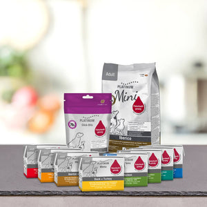 PLATINUM Poskusni paket Mini: Priljubljena izbira za pse manjših pasem, suha in mokra hrana ter priboljški so razporejeni na sivi površini z zamegljenim ozadjem kuhinje. Embalaža ima pisane barve in ilustracije psov.